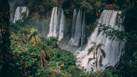 Majestic Waterfalls in a Lush Forest wallpaper
