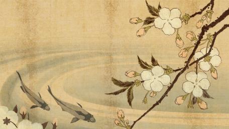 Cherry Blossoms and Koi in Tranquil Water wallpaper