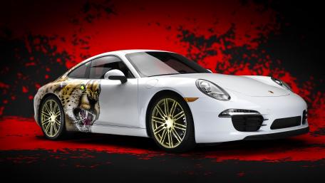 Porsche 911 Carrera Custom wallpaper