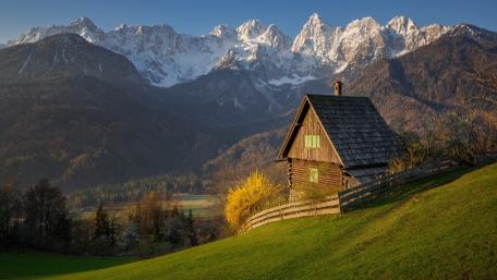 Serenity in Nature's Embrace wallpaper