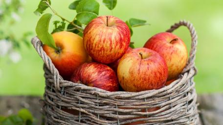 Fresh Apples in a Rustic Basket wallpaper