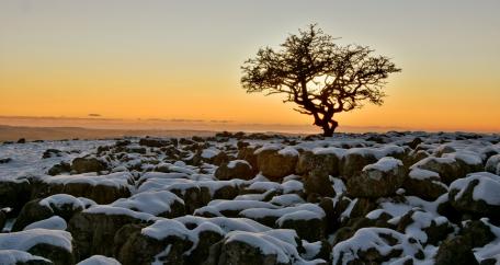 Winter Glow Over Rocky Landscape wallpaper