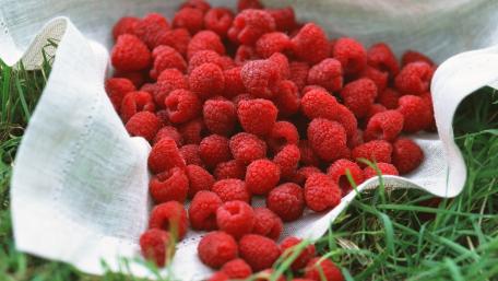 Vibrant Fresh Raspberries on Soft Fabric wallpaper