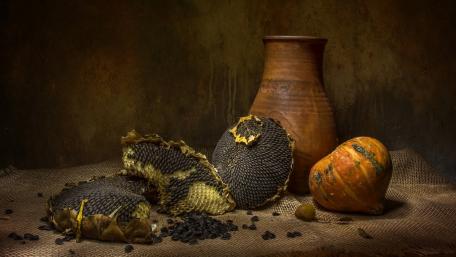 Vibrant Still Life of Sunflower Seeds and Pottery wallpaper