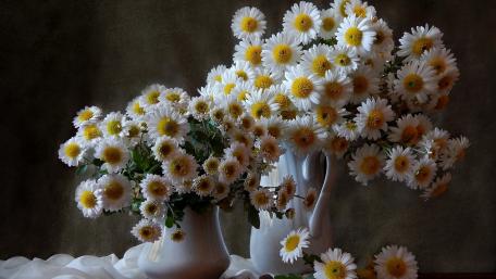 Charming Daisies in Elegant Vases wallpaper