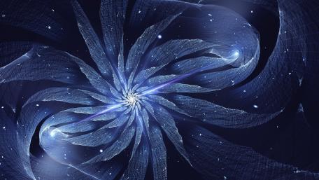 Winter star wallpaper
