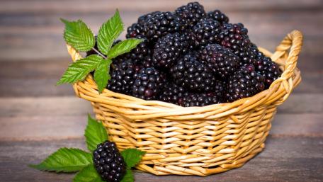 Blackberries in a Rustic Basket for a Fresh Touch wallpaper