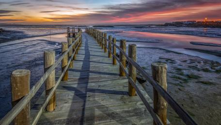 Serene Sunset Over Tranquil Marshland wallpaper