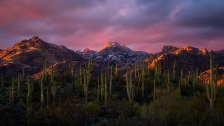 Majestic Desert Sunrise Highlights Nature's Beauty wallpaper