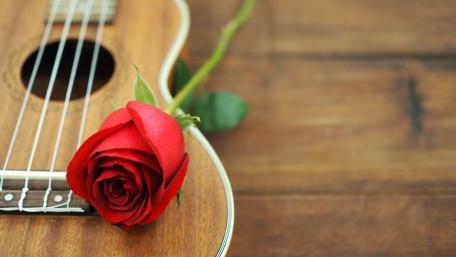 Melodic Romance in 4K Wallpaper wallpaper