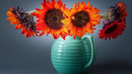 Vibrant Sunflowers in a Stylish Vase wallpaper