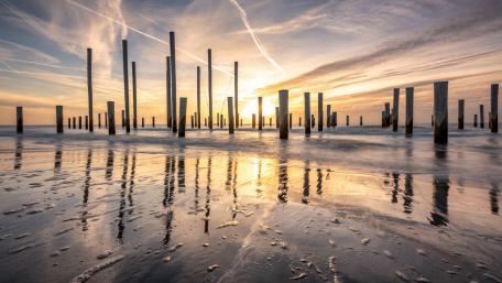 Ethereal Sunrise Over Waterlogged Poles wallpaper