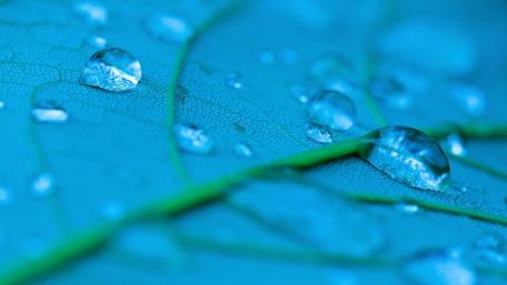 Refreshing Blue Waterdrops on Leaf Surface wallpaper