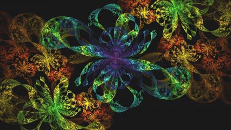 Vibrant Fractal Flower Dance in Chaos wallpaper