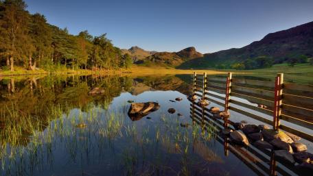 Serene Reflections in Tranquil Nature Scene wallpaper
