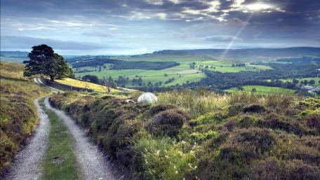 Breathtaking Serenity of Rolling Hills and Fields wallpaper