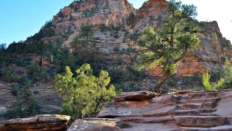 Majestic Mountain Landscape with Lush Greenery wallpaper
