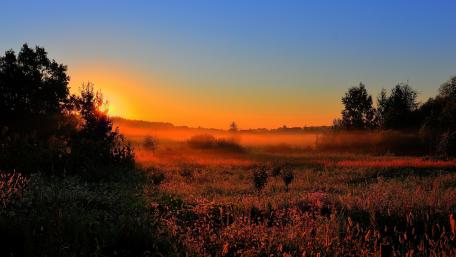 Serene Sunrise Over Misty Meadow wallpaper