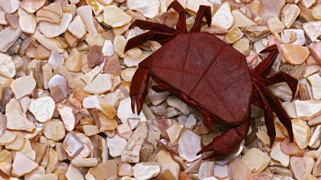 Crab on a Colorful Pebble Background wallpaper