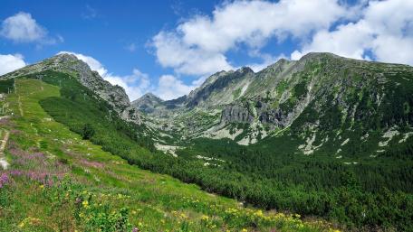 Majestic Mountain Landscape in Greenery wallpaper
