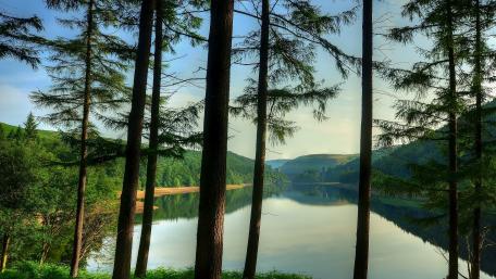 Serene Reflection in a Tranquil Forest Setting wallpaper