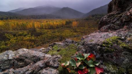 Majestic Mountain Scene Amidst Autumn Colors wallpaper