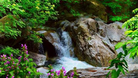 Tranquil Waterfall Surrounded by Lush Greenery wallpaper