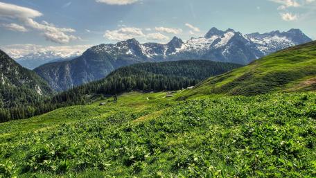 Breathtaking Mountain Landscape with Lush Greenery and Snowy Peaks wallpaper