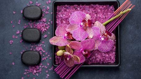 Elegant Orchid Arrangement with Stones and Salt wallpaper