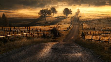 Serene Morning Landscape with Golden Light wallpaper
