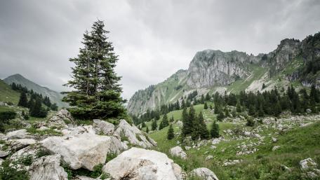 Majestic Mountain Serenity wallpaper