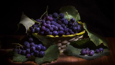 Bountiful Bunches of Grapes in a Basket wallpaper