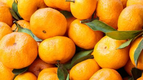 Vibrant Citrus Fruits in Abundance wallpaper