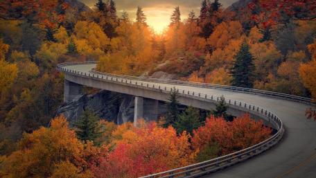 Autumn Serenity on a Curved Roadway wallpaper