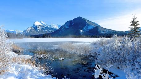 Winter Serenity in Nature's Embrace wallpaper