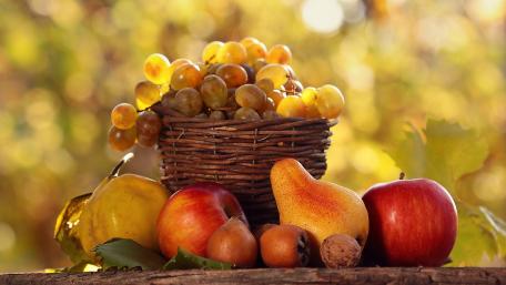 Vibrant Harvest of Fruits and Goodness wallpaper