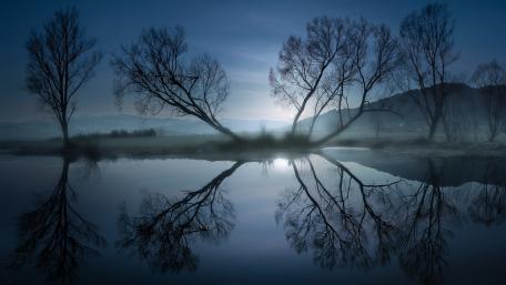 Serene Night by the Waterway wallpaper
