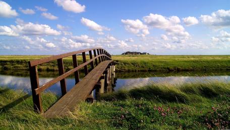 Serene Bridge Over Tranquil Waters wallpaper