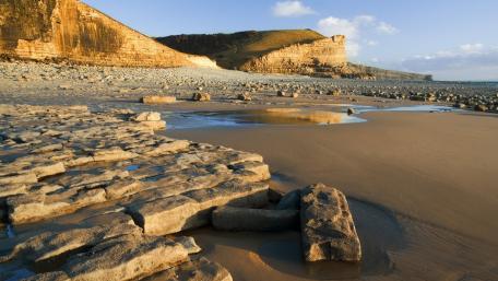 Serene Beachscape Under Golden Sunlight wallpaper