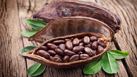 Cocoa Beans in Natural Setting Inspired by Nature's Delights wallpaper