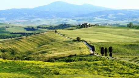 Vibrant Green Hills Under a Clear Sky wallpaper