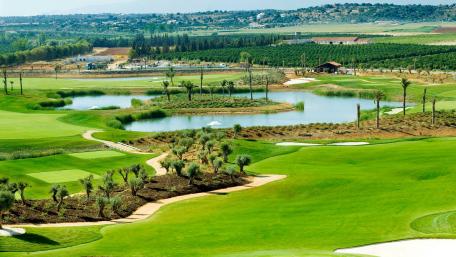 Lush Green Oasis in Serene Landscape wallpaper
