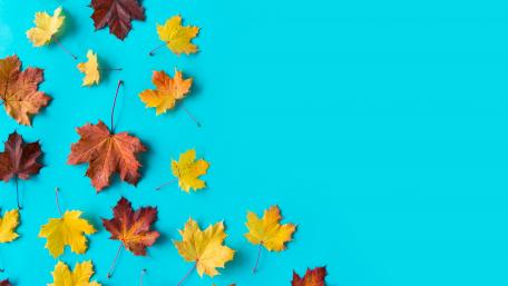 Autumn Leaves on Vibrant Blue Background wallpaper