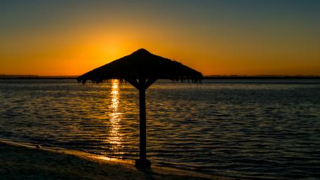 Silhouette of a Beach Umbrella wallpaper
