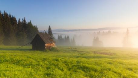 Serene Morning in the Mountains wallpaper