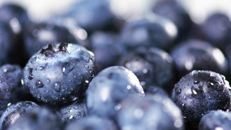 Fresh Blueberries with Water Drops for a Juicy Look wallpaper