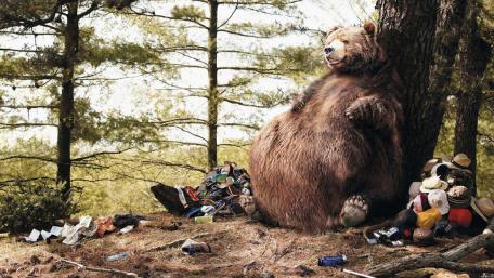 Satiated bear wallpaper