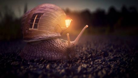 Whimsical Snail with Lantern House in Dreamland wallpaper