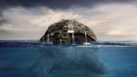 Surrealistic turtle wallpaper