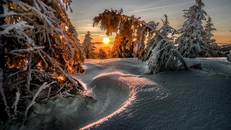 Winter Sunrise in a Snowy Landscape wallpaper